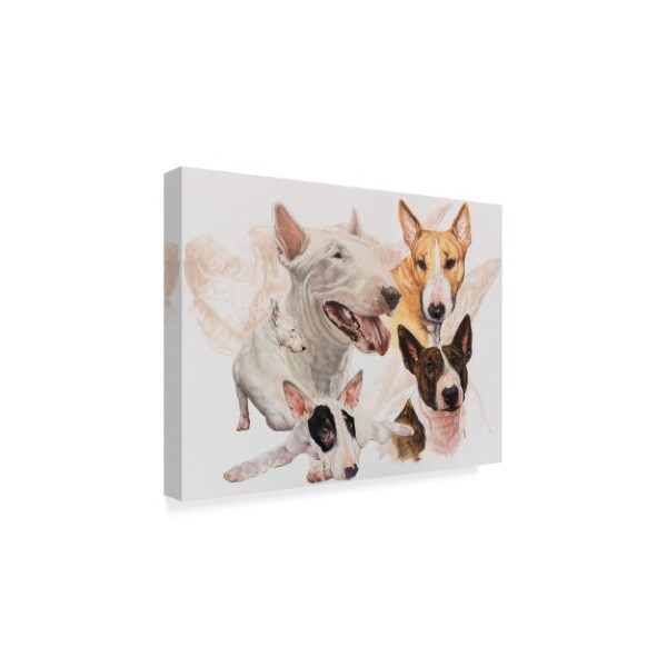 Barbara Keith 'Bull Terrier With Ghost Image' Canvas Art,24x32